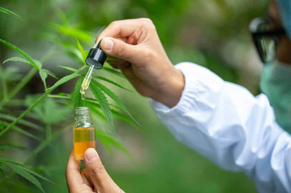 How important is the Certificate of Analysis (COA) when buying CBD products? All G Essentials