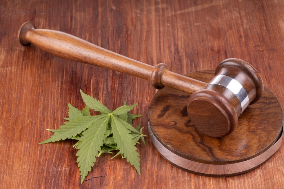 U.S. CBD Laws: Find Out if CBD is Legal in Your State All G Essentials
