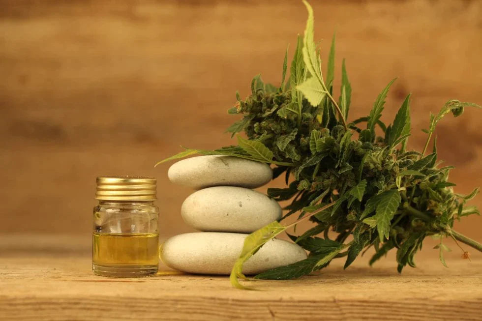 CBD vs THC: Everything you need to know All G Essentials