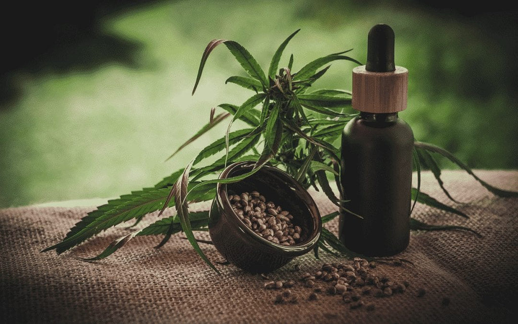From Seed to Sale: A Genealogy of Hemp and CBD All G Essentials