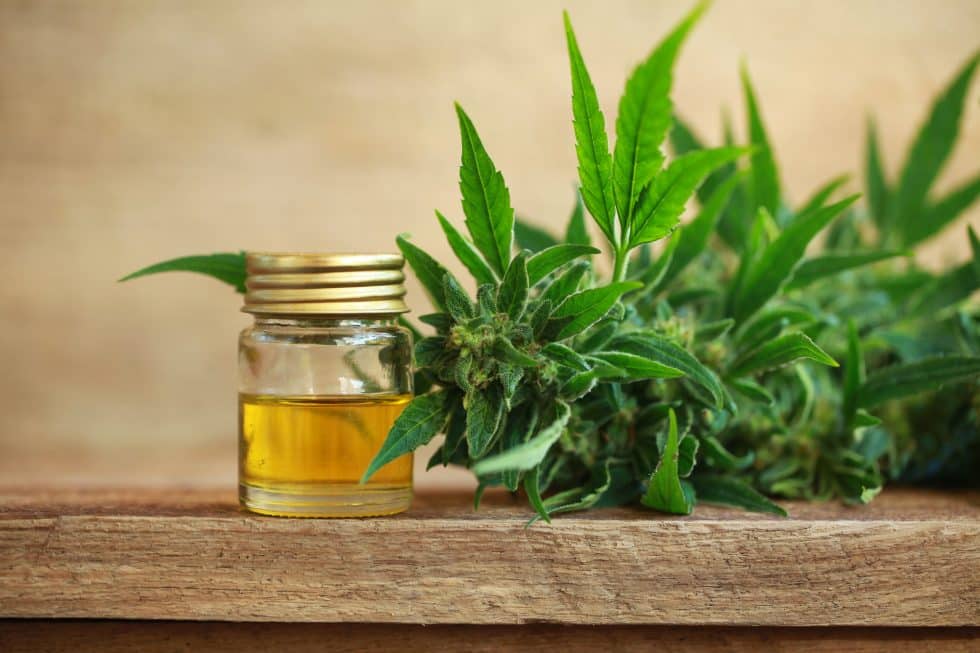 What is CBD? Here’s the Complete Guide All G Essentials