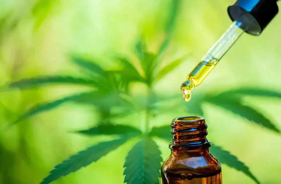 What is Hemp Oil and is it Safe? All G Essentials